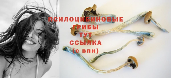 дурь Бородино