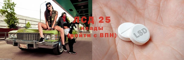 дурь Бородино