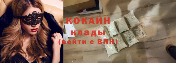 PSILOCYBIN Богданович