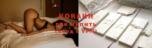 PSILOCYBIN Богданович